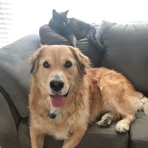 Meet your Posher, Alma